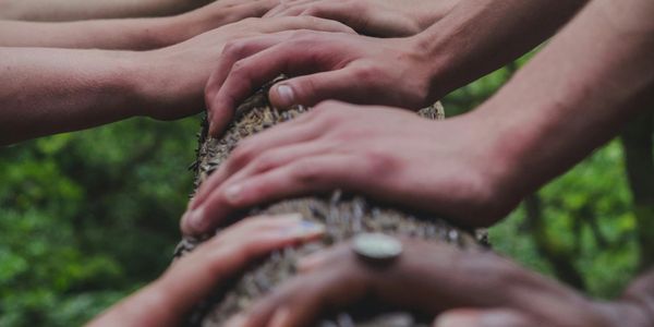 Several different hands grasping a tree. Connection to nature, cooperation, diversity.