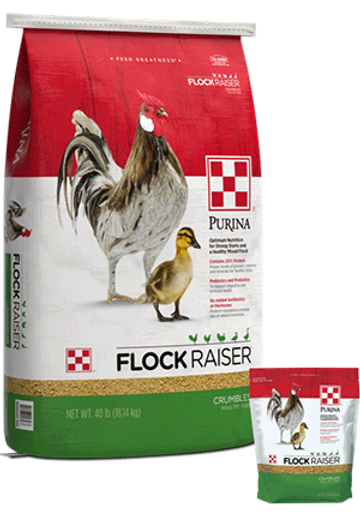 Purina Flock Raiser 