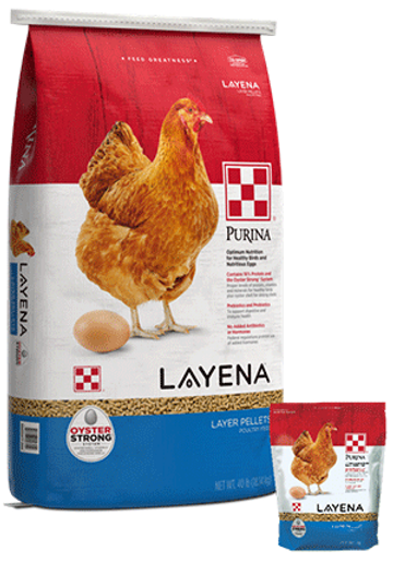 Purina Layena Chicken Feed