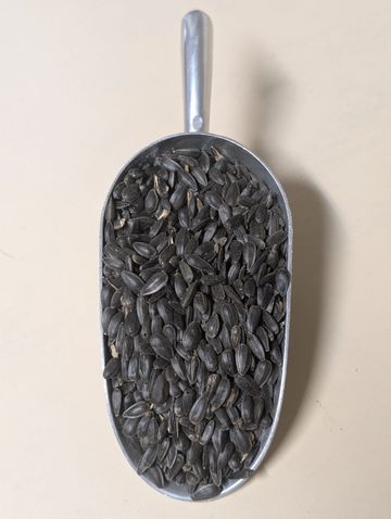 Curve Feed's Black Oil Sunflower Seed