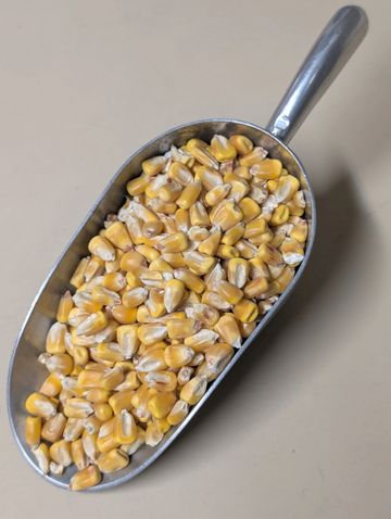 Curve Feed's Whole Corn