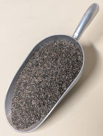 Curve Feed's Nyjer Thistle Seed