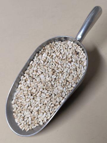 Curve Feed's Safflower Seed