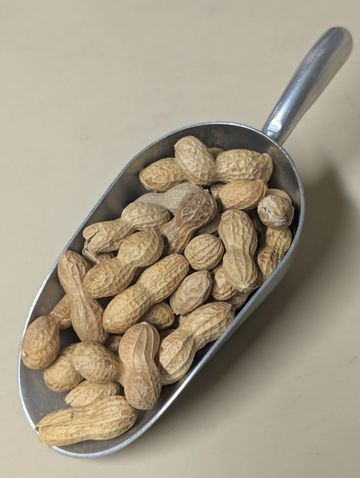 Curve Feed's Raw Peanuts In-shell
