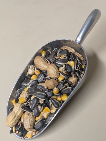 Curve Feed's Squirrel/Jaybird Blend