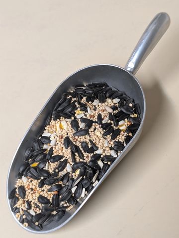 Curve Feed's Premium Wildbird Blend