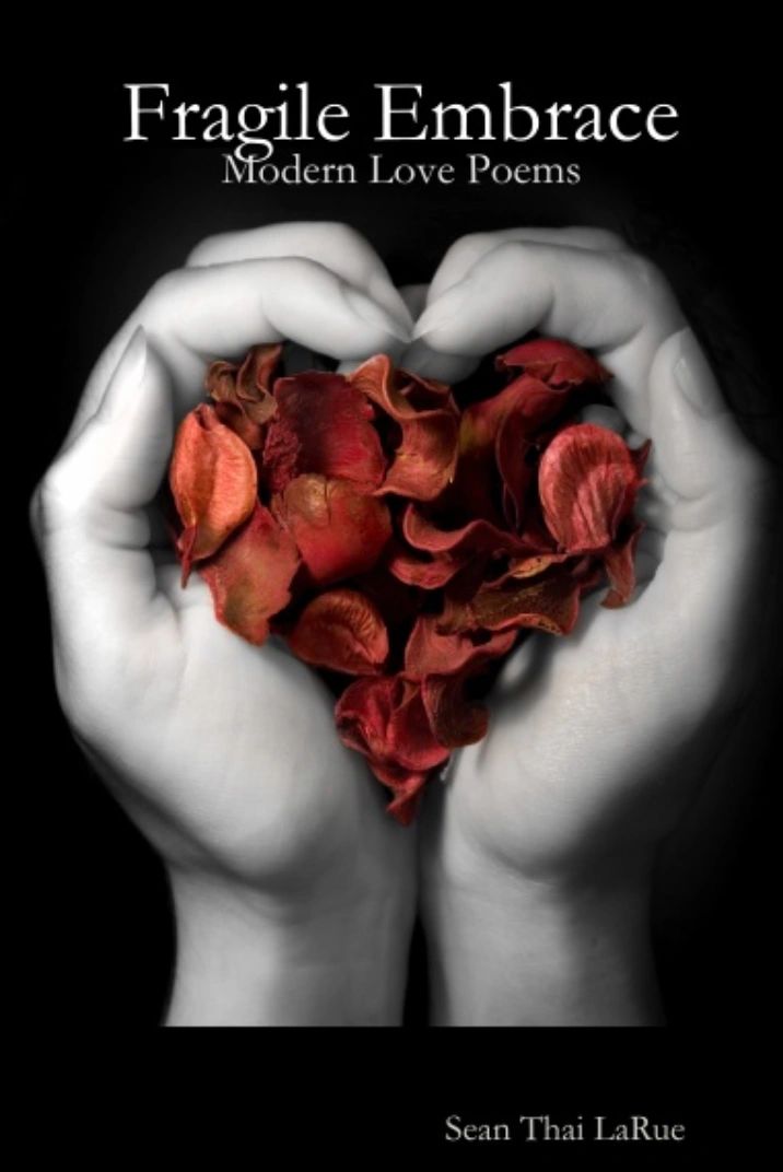 Cover of Fragile Embrace