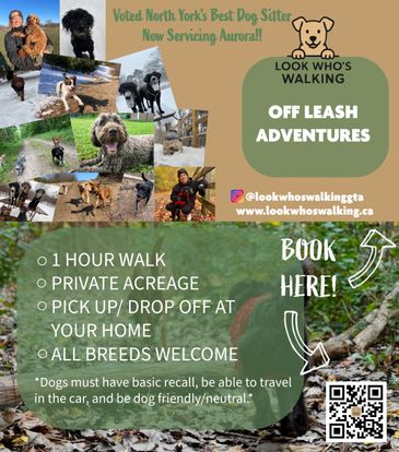 Advertisement for off-leash dog walking services with photos of dogs and service details.