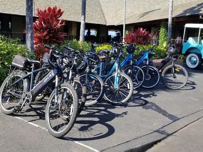 Batterie de Vélo Électrique Ares – Maui Bikes