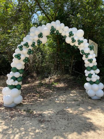 Organic Balloon Arch up to 12 feet (larger available) Choose up to 4 colors