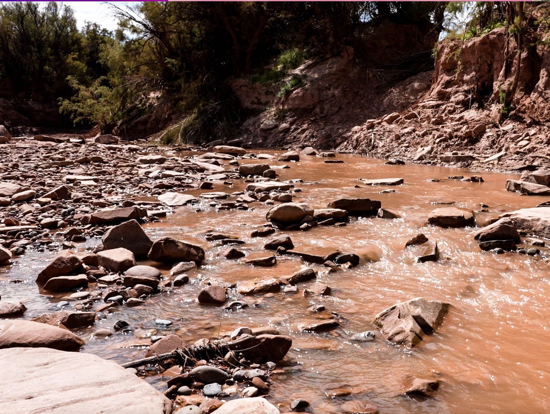 A shallow rocky river with clear flowing water and surrounding greenery.