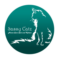 Sassy Catz Maine Coon Cats and Kittens