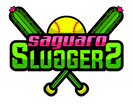 Saguaro Sluggers Softball System