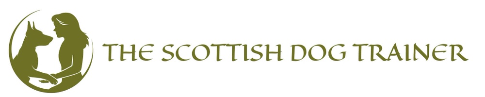 the scottish dog trainer