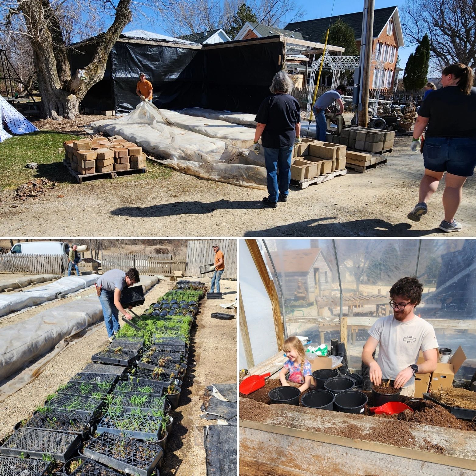 Big Box Stores Sell Plants?