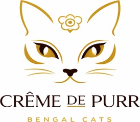 Creme de Purr - Bengal Cattery

