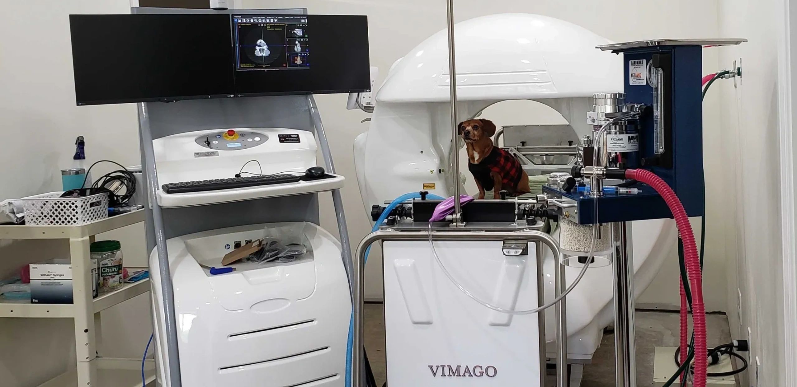 Medical Imaging Grande Prairie at Olga Rand blog