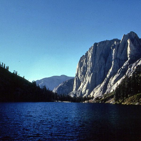 Angel Wings Sequoia National Park, Photo: David Hickey