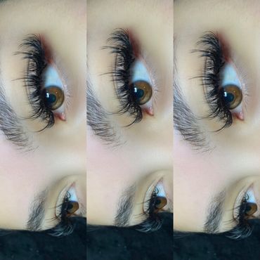 Volume Lashes 