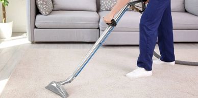 Greenway's Upholstery and Carpet Cleaner