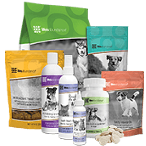 Pet Products, Miniature Australian/American Shepherds, Breeder, Puppies