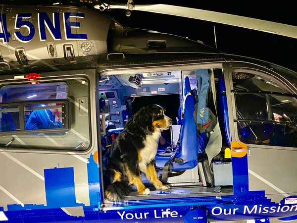 K9 Gromit is ready to go where needed. He's in a MedfFlight Helicopter.  www.mytherapydog.org 