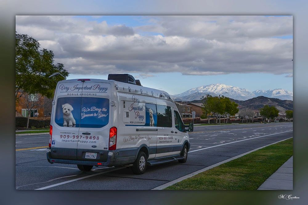 Very Important Puppy Mobile Dog Grooming