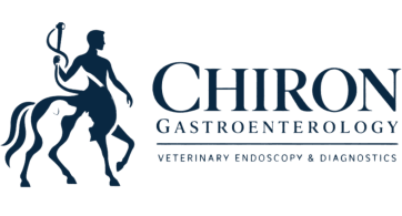 Chiron Gastroenterology