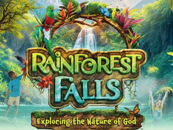Colorful rainforest scene with waterfall and vibrant wildlife around 'Rainforest Falls' sign.