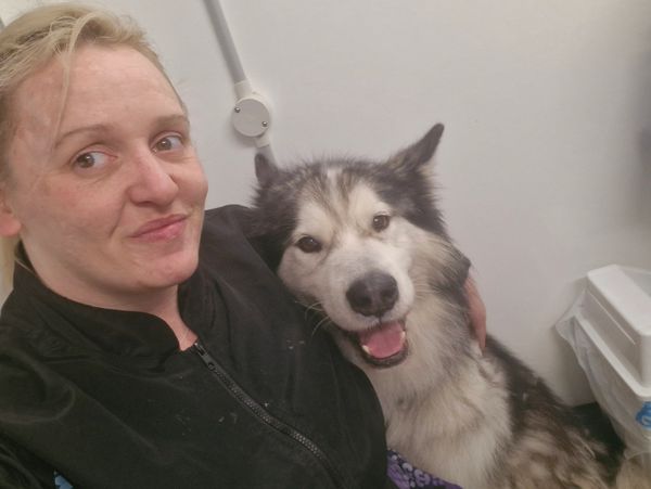 Woman smiling sitting next to Alaskan Malamute