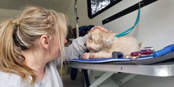 A woman petting a dog in a trailer.