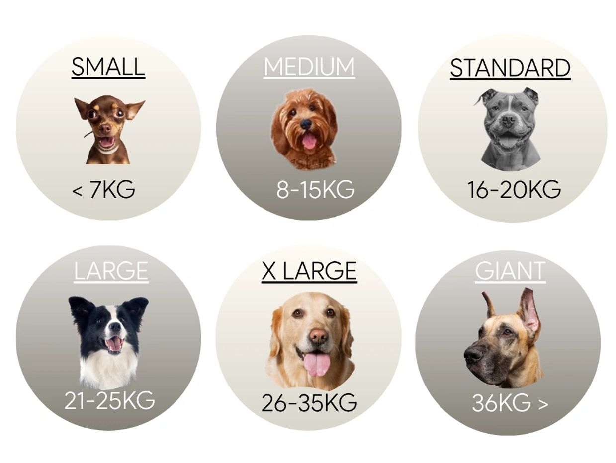 Dog Size Comparison Chart