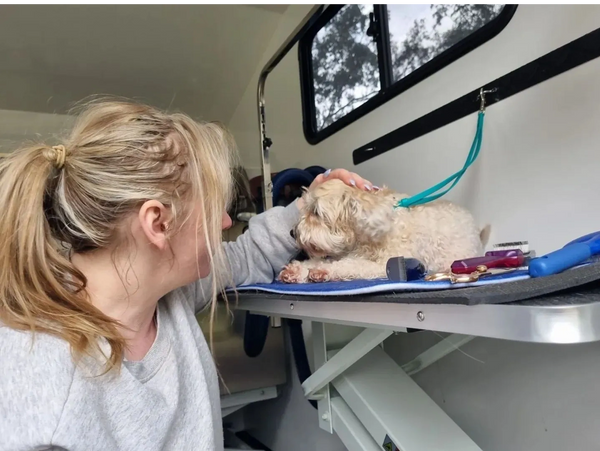 Woman patting dog inside mobile grooming trailer