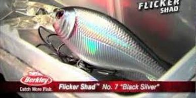 all eyes on fishing podcast products and berkley flicker shads
