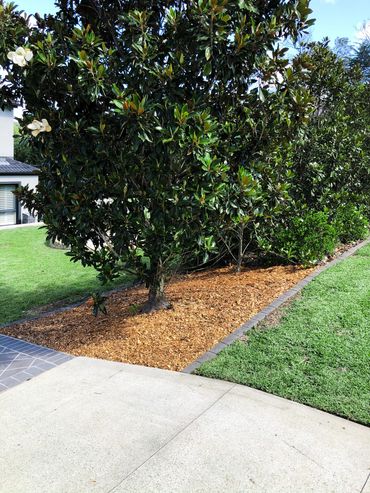 Garden bed maintenance with mulch and monthly weeding, lawn mowing and edging.