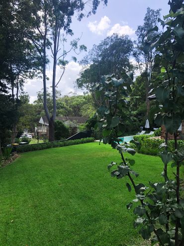 Lawn mowing and garden bed care.