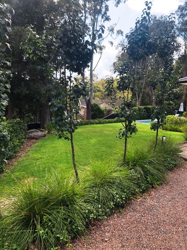 Shrub, tree and gravel as our clients property to help showcase the backyard entertainment space.