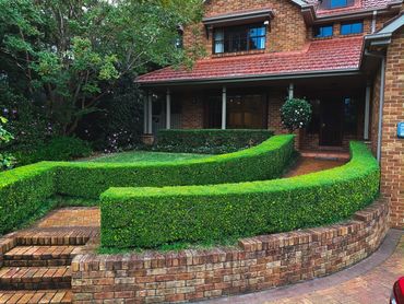 Hedge shaping and pressure clean to remove mold and build up from the weather.