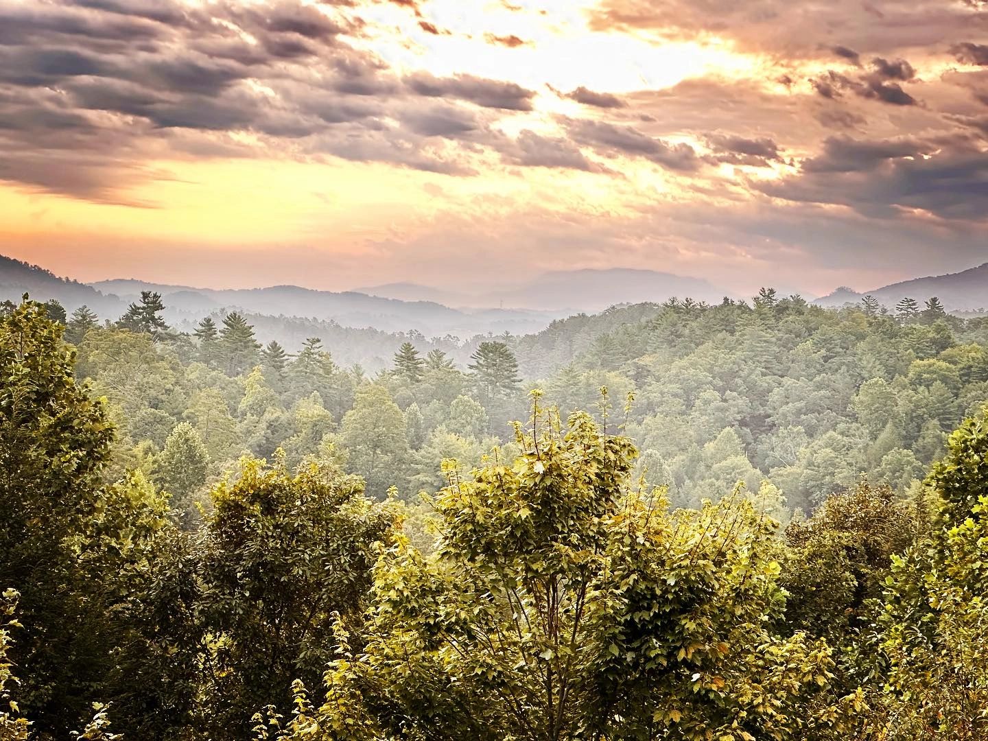 Rustic Luxury Getaways I