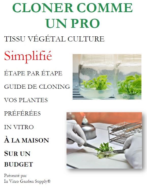 Cloner comme un pro - Culture de tissus végétaux simplifiée Guide ...