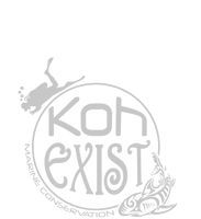 Koh Exist