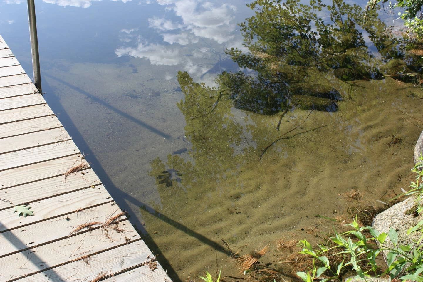 The Chickadee House on Pettingill Pond Lake House Rental