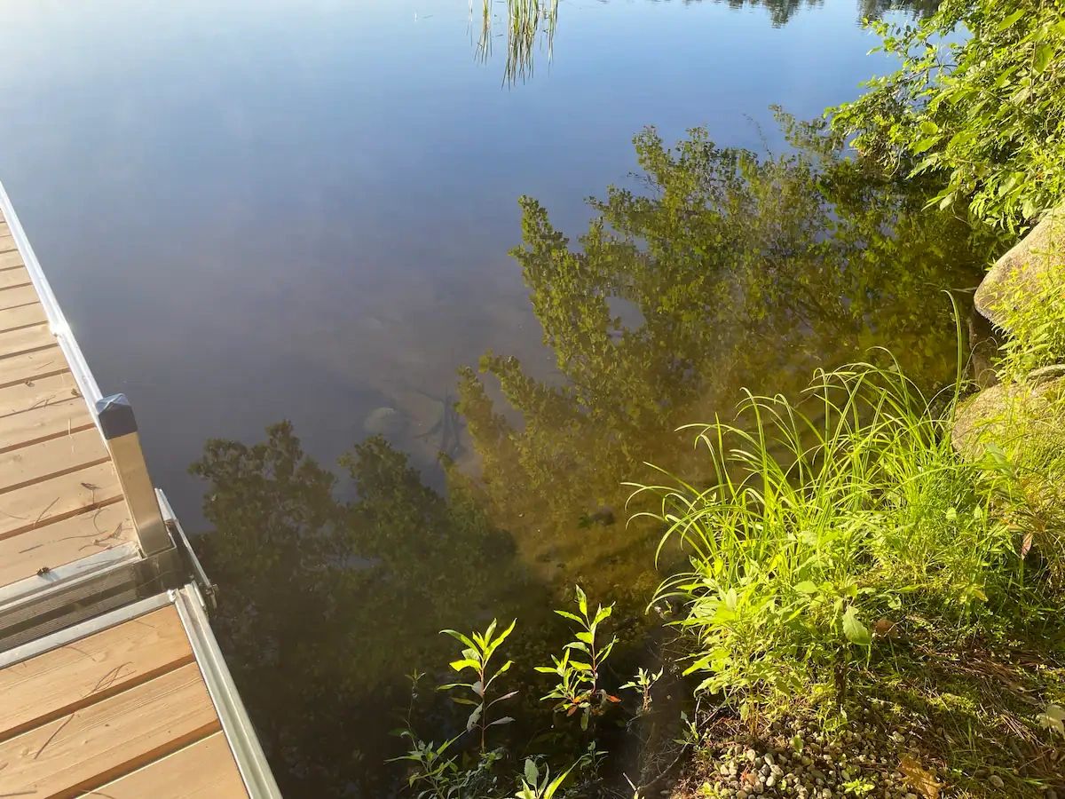 The Chickadee House on Pettingill Pond Lake House Rental