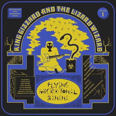 King Gizzard Flying Microtonal Banana Lyrics