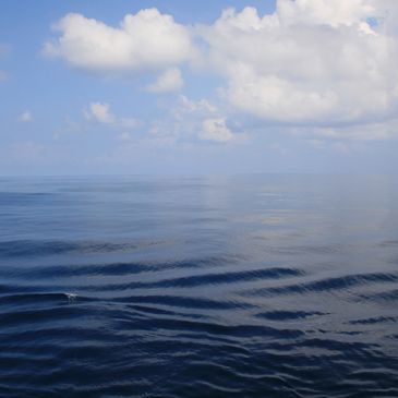 calm ocean water