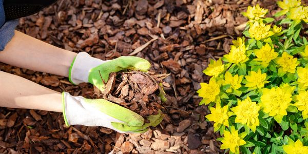 mulching and landscaping