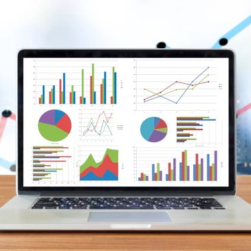 Grafici e diagrammi su uno schermo di laptop.