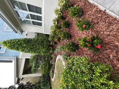 A landscaped garden with neatly trimmed bushes and a tall tree near a house.