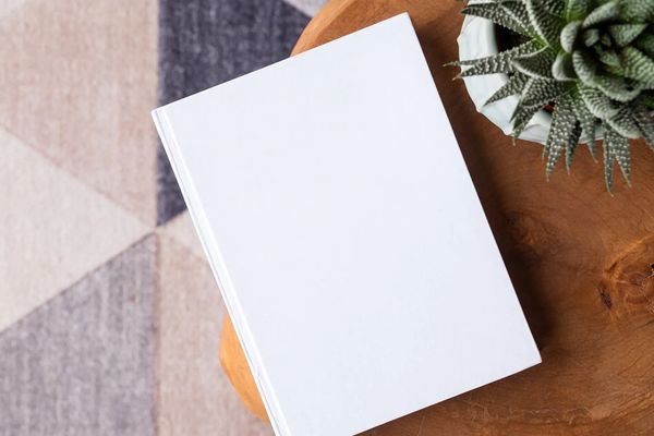 Click here to see some of Dr. T.'s media work. 