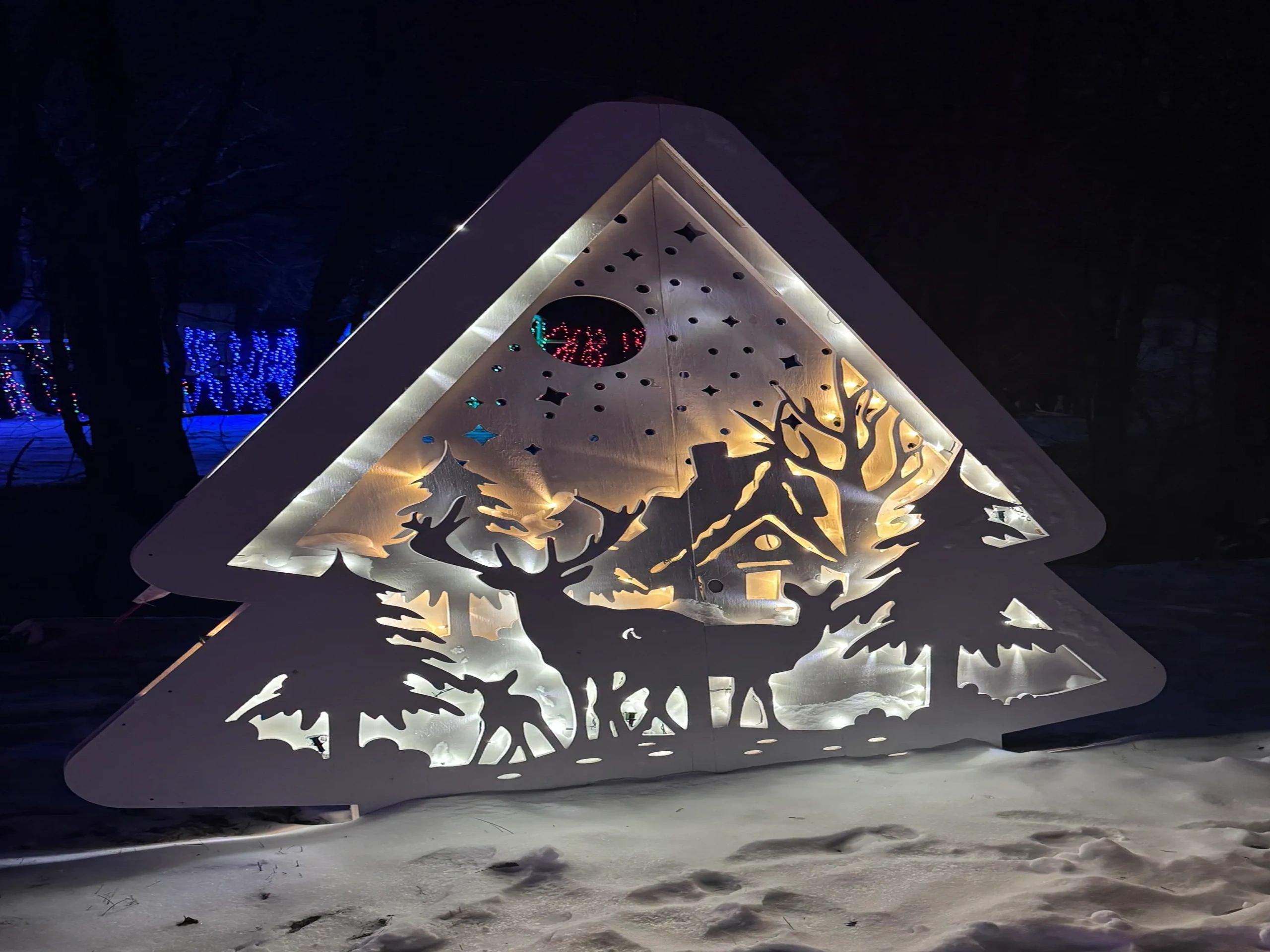 White illuminated woodland Christmas display with reindeer and trees in the snow